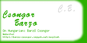 csongor barzo business card